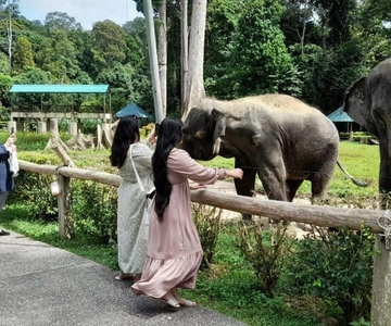 Kuala Lumpur: Privat udflugt til Kuala Gandah og Batu Caves