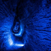 From Auckland: Waitomo Glowworm and Ruakuri Caves Day Tour From Auckland: Waitomo Glowworm and Ruakuri Caves Day Tour