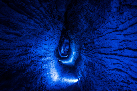 From Auckland: Waitomo Glowworm and Ruakuri Caves Day Tour