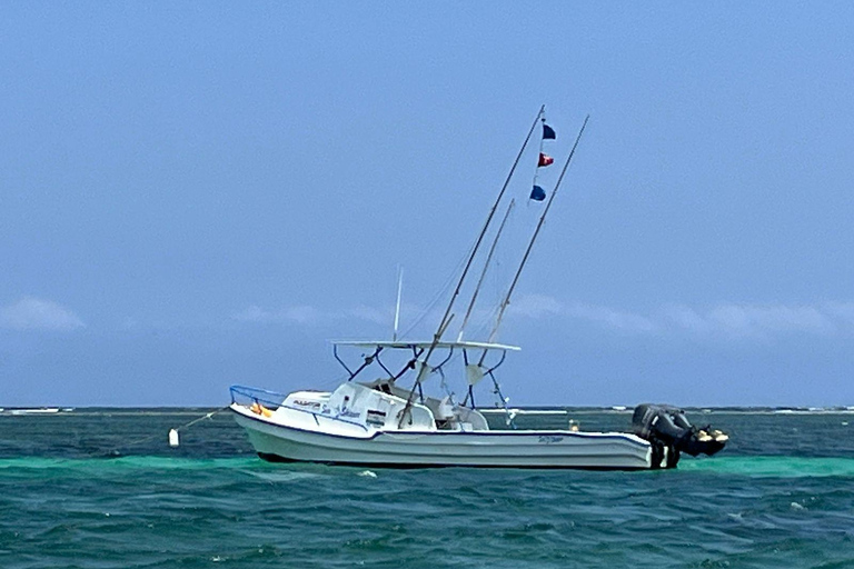 Diani, Mombasa, or Mtwapa: Private Deep Sea Fishing Trip