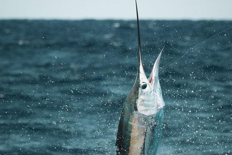 Alanya : Excursion de pêche avec équipement et déjeuner