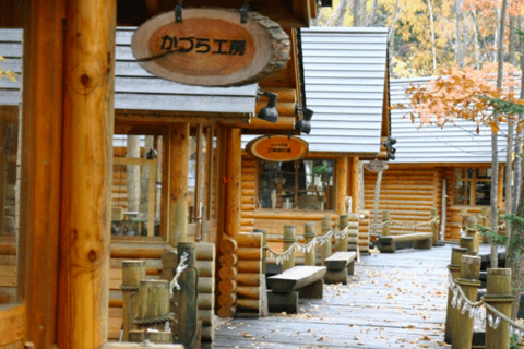 Hokkaido: Furano & Biei 1-Day Tour with Melon & Blue Pond No Melon