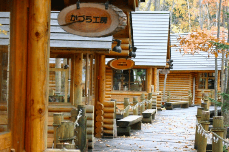 Hokkaido: Furano & Biei 1-Day Tour with Melon & Blue Pond No Melon