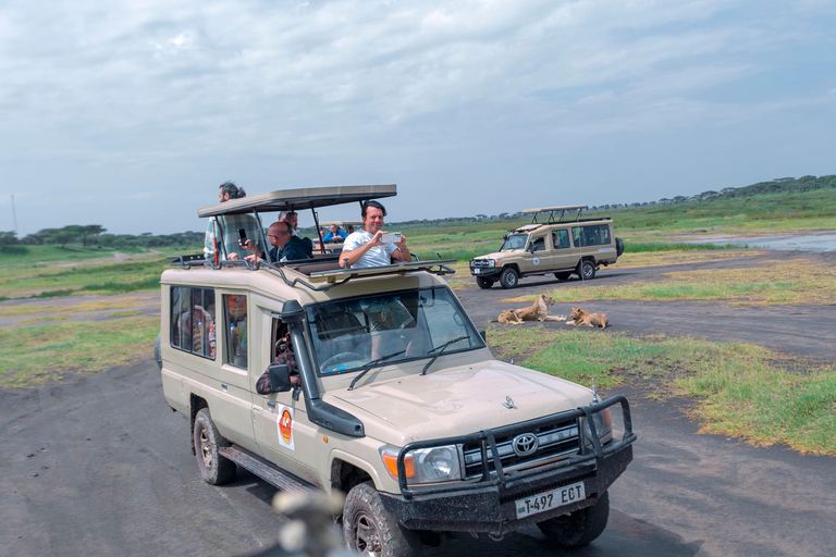 Ngorongoro Crater: Full-Day Safari Tour