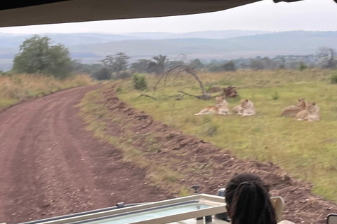 Kigali: 7-Day Safari, Wildlife Immersion, Big 5 to Gorillas