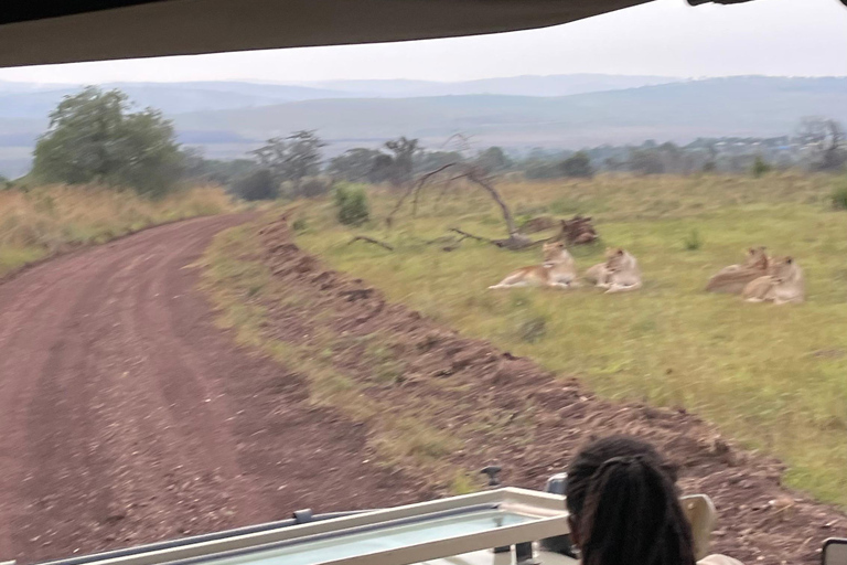 Kigali: 7-Day Safari, Wildlife Immersion, Big 5 to Gorillas