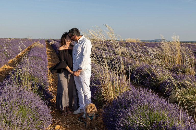 Valensole: Professional Photo in a Lavender Field Valensole: Professional photo in a lavender field