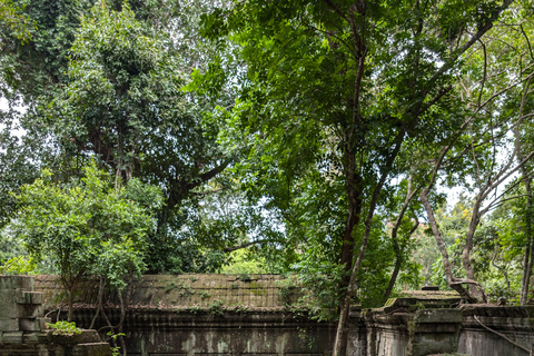 From Siem Reap: Koh Ker and Beng Mealea Private Day Tour Shared Tour