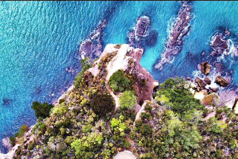 Auckland: Hidden Gem Coromandel& Cathedral Cove Private Day