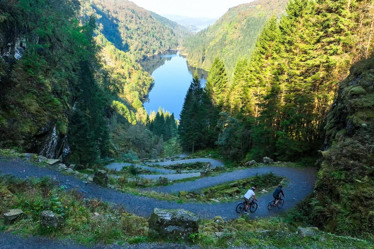 Bergen: Osterøy E-Bike Tour, Fjord Safari & Lunch