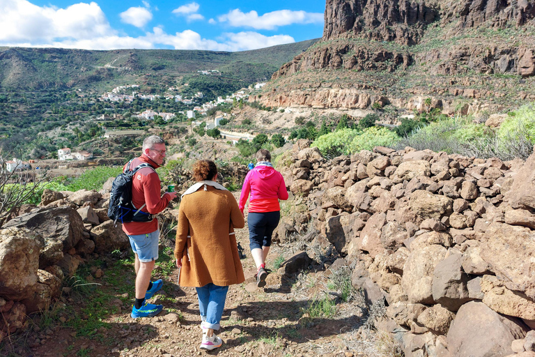 Gran Canaria Cave, Oasis, Red-gorge Adventure & cosy Picnic Gran Canaria Discovery Adventure Tour with Tapas Picnic