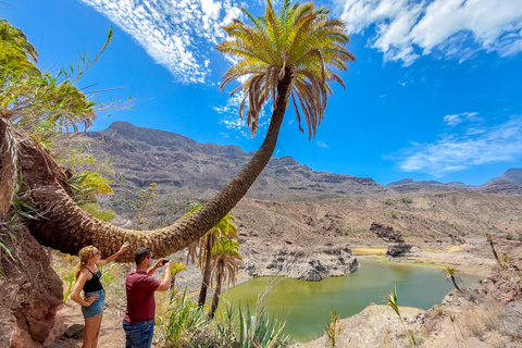 Gran Canaria Grot, Oase, Rode Kloof Avontuur &amp; Gezellige PicknickGran Canaria Ontdekkingsreis met Tapas Picknick