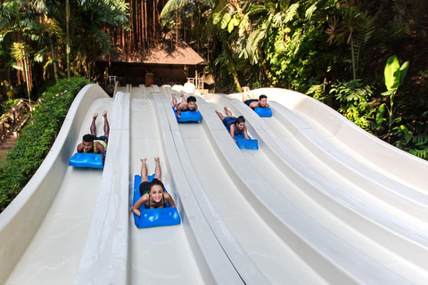 Kuala Lumpur: Sunway Lagoon Ticket & 1-Way Transfer