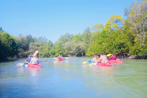 Ko Lanta: Mangrove kajakken, Ko Talabeng, & Schedeleiland