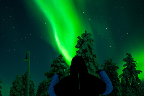 Rovaniemi: Northern Lights Tour – Guaranteed with Photos Small-Group Northern Lights Tour – Guaranteed with Photos