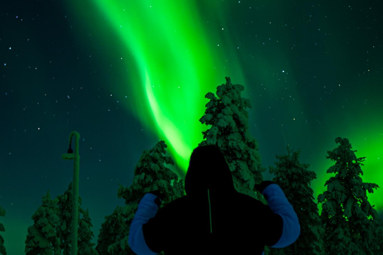 Rovaniemi: Northern Lights Tour – Guaranteed with Photos Small-Group Northern Lights Tour – Guaranteed with Photos