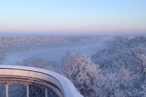 Latvia Bobsleigh and luge track ride experience Professional Bob