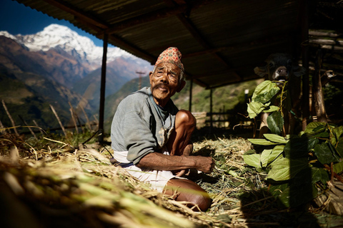 Pokhara: 2-Day Express Poon Hill Trek by Private Jeep All Inclusive With A Guide And Private Jeep