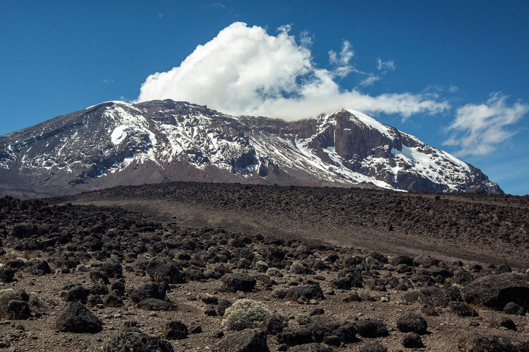 8 giorni sul Monte Kilimanjaro in Tanzania Percorso Lemosho