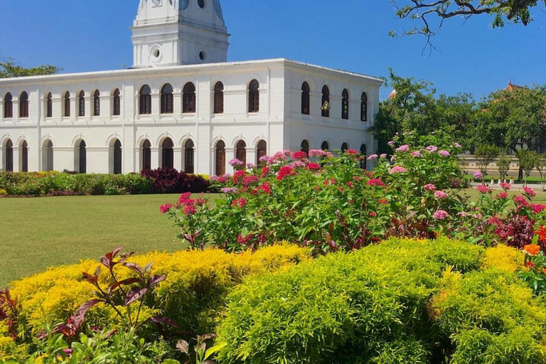 Colombo: Private City Tour with Tea Tasting