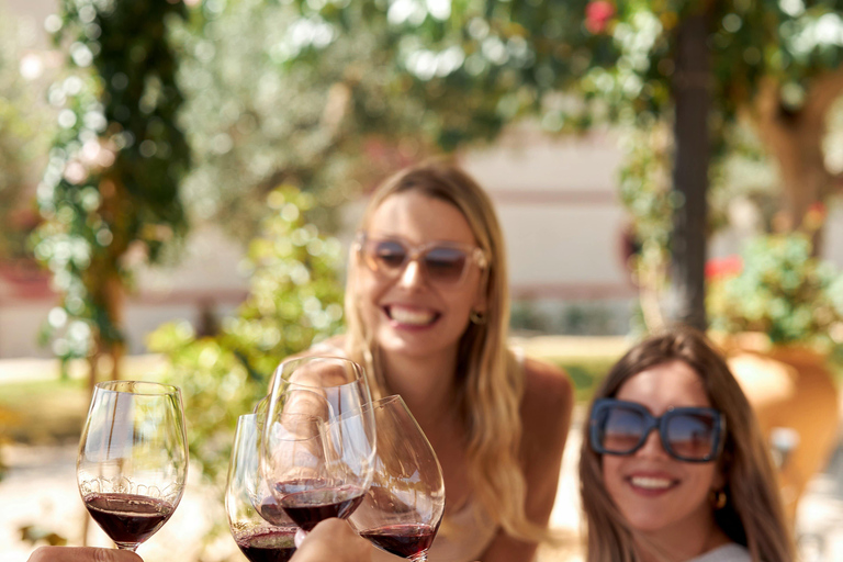 Barcelona: Private Priorat Wine Tour + 3-course Pairing Meal
