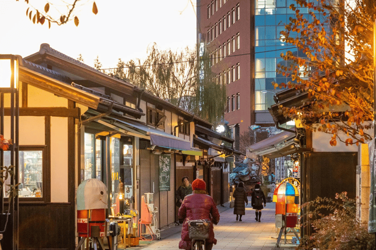 Quioto/Osaka: Viagem de 1 dia com guia personalizável a Quioto e Nara