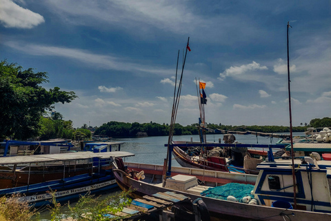 Negombo &amp; Colombo: Ganztägige Tour mit Mittagessen