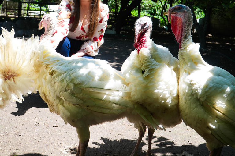 Quito: Nayón Village Tour with Farm Visit