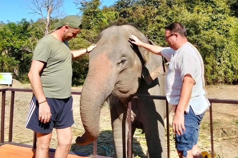 Chiang Mai : Visite de deux jours du sanctuaire du Temple des éléphants