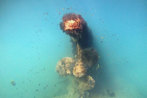 San Jose del Cabo Snorkeling Tour