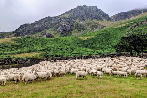 Llandudno: Anglesey & Snowdonia Combination Day Tour
