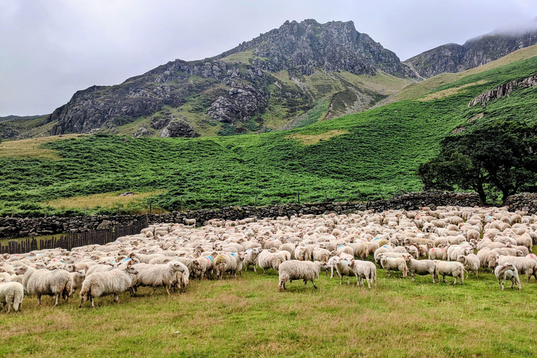 Llandudno: Anglesey & Snowdonia Combination Day Tour
