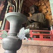 Nara: Deer, Great Buddha & Traditional Mochi Tasting