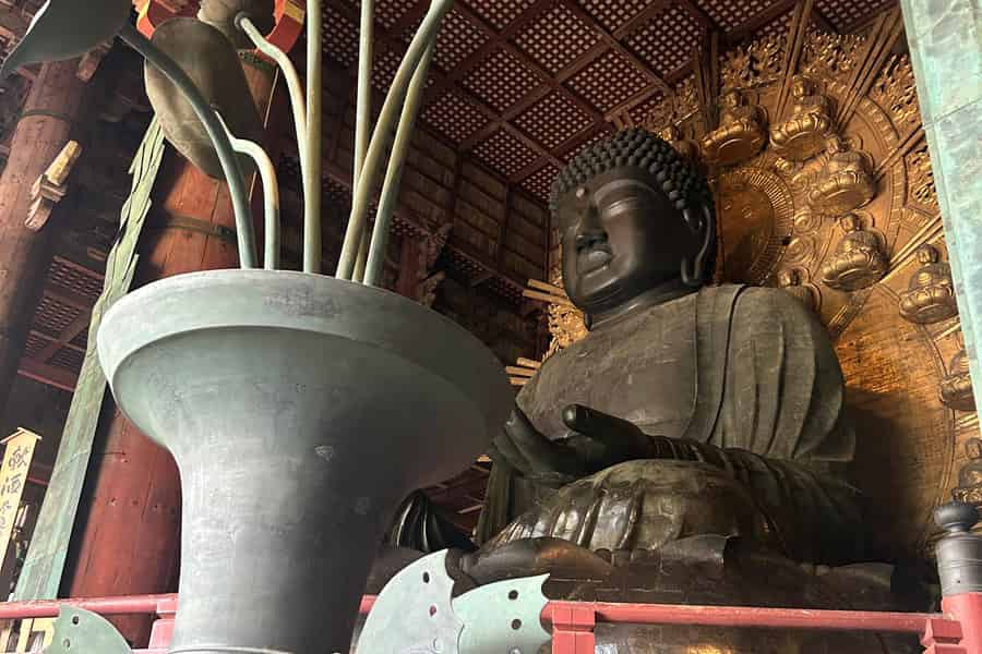 Nara: Hirsche, Großer Buddha & traditionelles Mochi-Erlebnis. Foto: GetYourGuide Nara: Hirsche, Großer Buddha & traditionelles Mochi-Erlebnis. Foto: GetYourGuide
