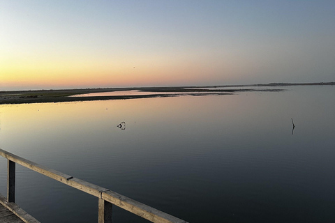 From Tirana/Durres/Golem: Karavasta Lagoon & Divjaka Tour Private Tour from Golem: Karavasta Lagoon & Divjaka Forest