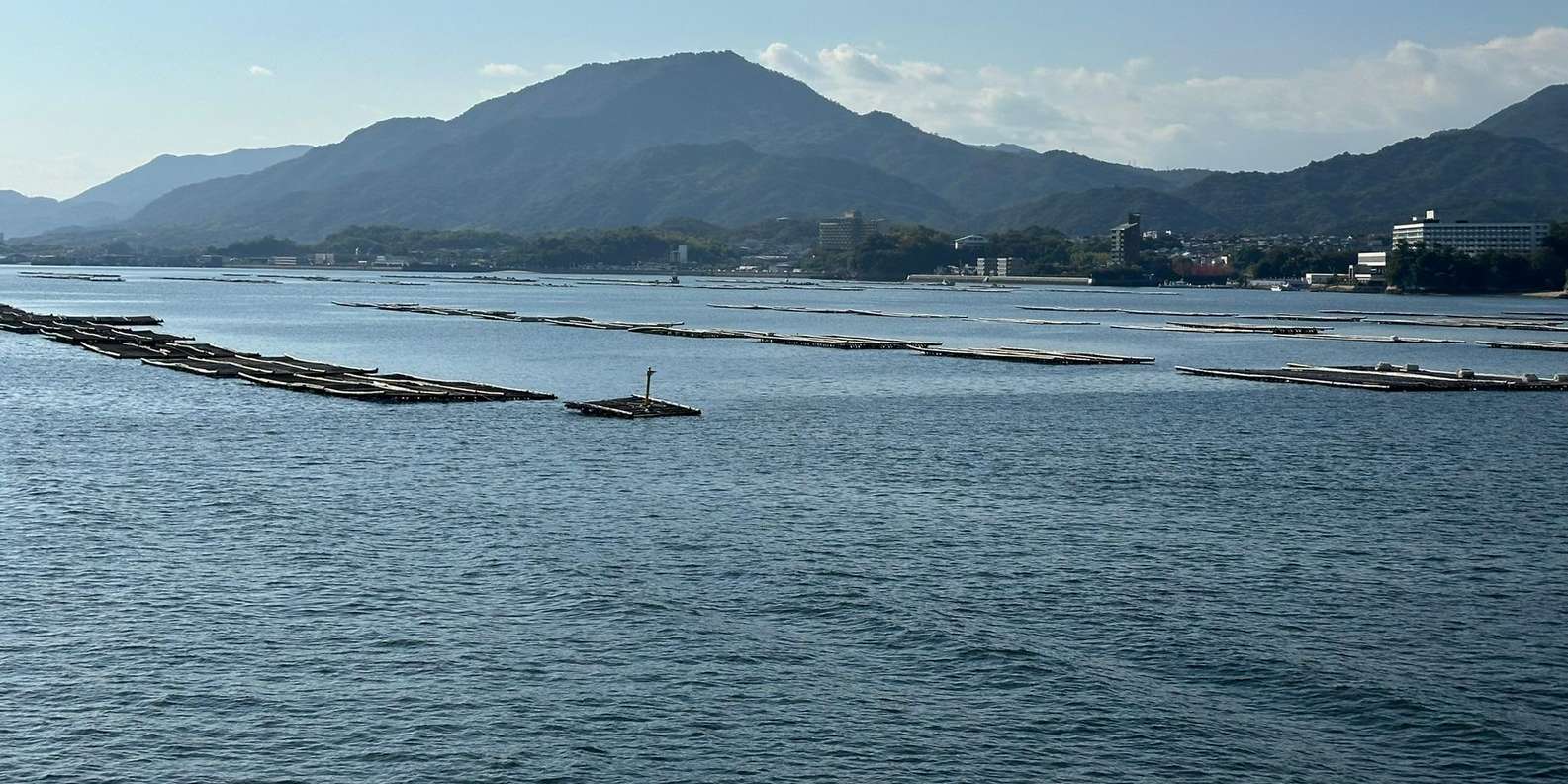 Hiroshima Miyajima tour — Peace Memorial and Miyajima Island — image 58