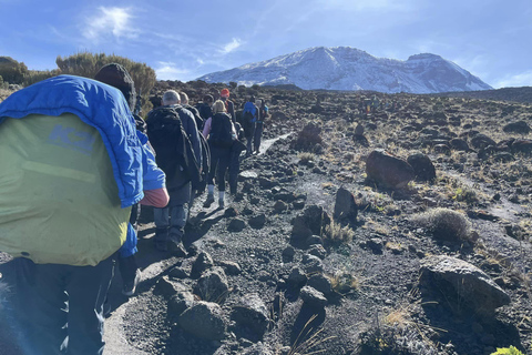 Climbing Mt.Kilimanjaro via Umbwe Route 6 days