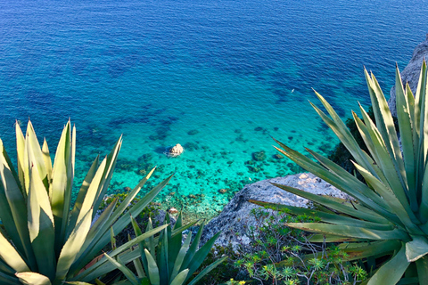 Cagliari, Tour for Cruise Passengers: Boat, Sea, and Historic Center, Stress-Free Cagliari, cruise ship tour: boat, sea, and historic center, stress-free
