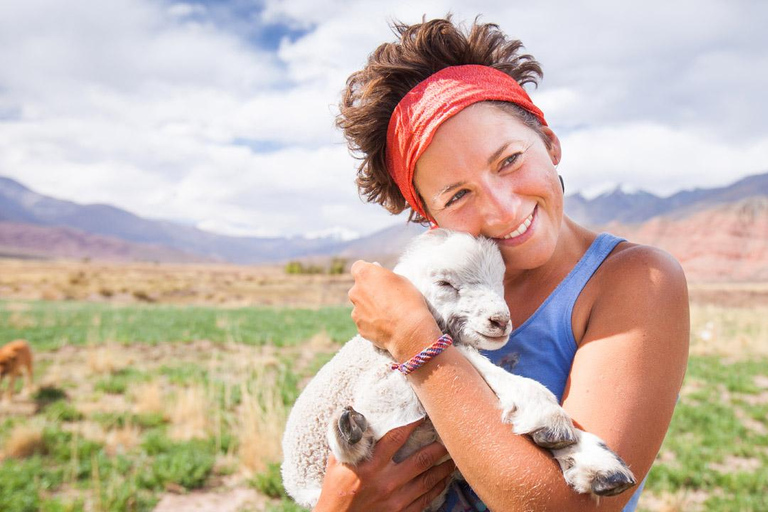 From Salta to Cafayate: Devil's Throat, Amphitheater, and Valley Wines