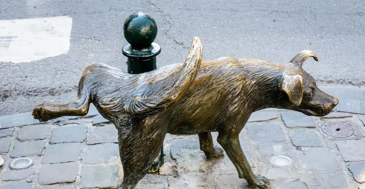 Afbeelding 9 van Brussel: Geheime paden en verhalen privé wandeltour