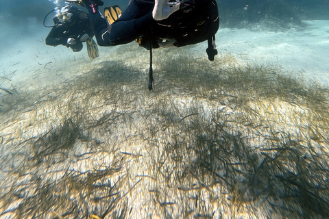 Malte : Baptême de plongée sous-marine en Français