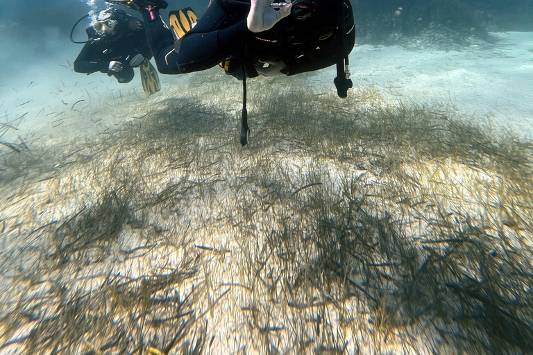 Malte : Baptême de plongée sous-marine en Français