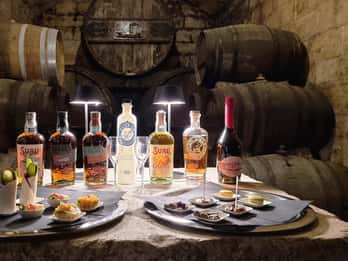 Palma: Tour della distilleria con degustazione di 6 distillati e tapas