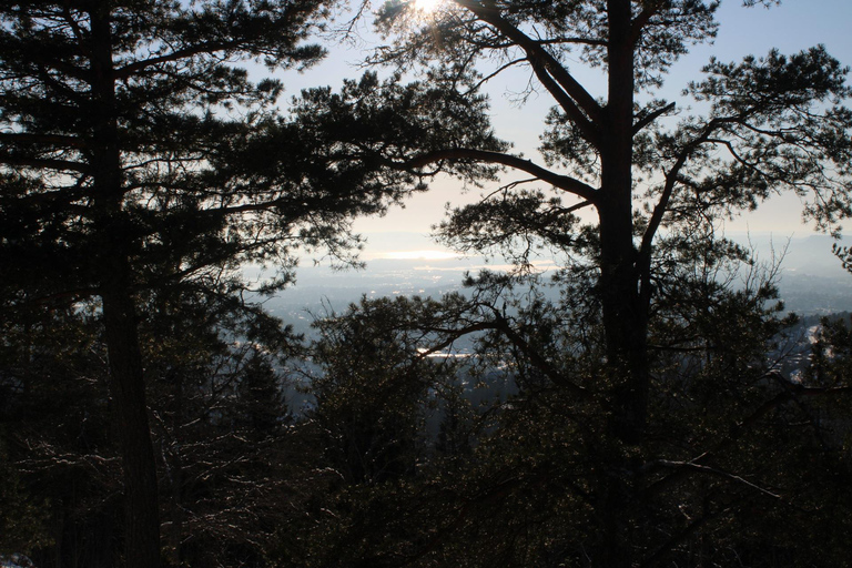 Panoramagipfel – Oslos beste Wanderung mit Blick auf die FjordePanoramische Gipfel – Oslos beste Wanderung mit Fjordblick