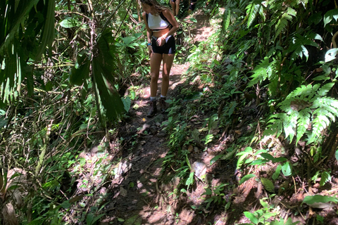 Puerto Viejo or Cahuita: Bribri Hidden Waterfalls Excursion with Lunch