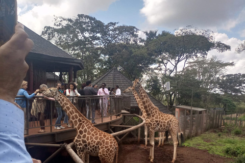 Nairobi city tour: Giraffe center and Karen Blixen Museum