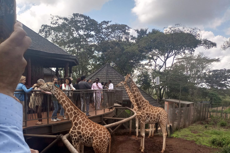 Wycieczka po Nairobi: centrum żyraf i Muzeum Karen Blixen