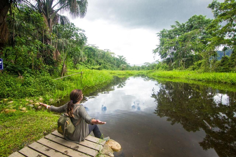 Aventura de 3 días en el Amazonas: Explorando la Selva desde Cusco