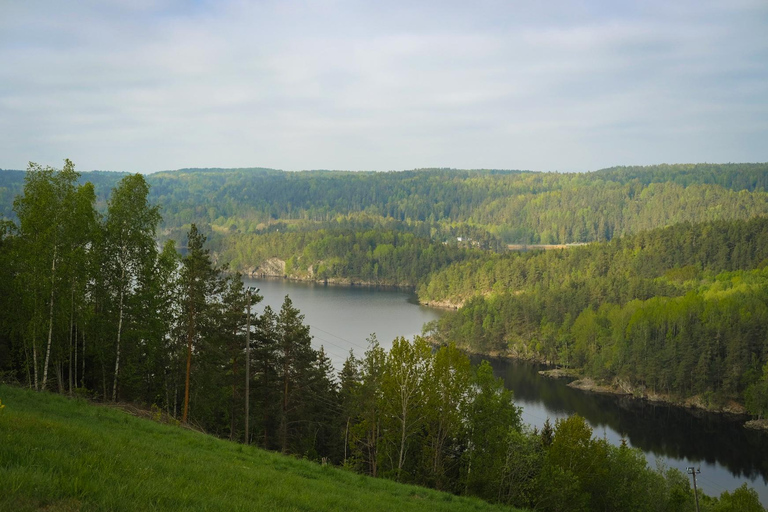 Oslo: Old-Growth Forest Hike with a Biologist