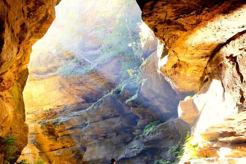 Blue Mountains Adventure: Wild Boar Rock & Cable Car Boutique minibus group tour - fixed meeting point